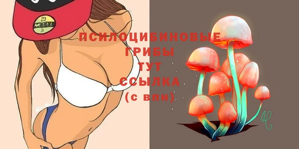 mdpv Волоколамск