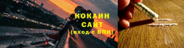 ГАЛЛЮЦИНОГЕННЫЕ ГРИБЫ Волосово