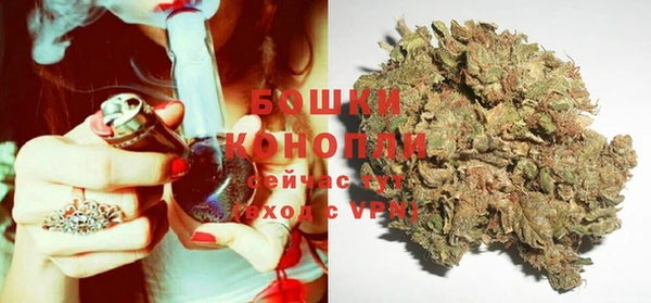 mdpv Волоколамск