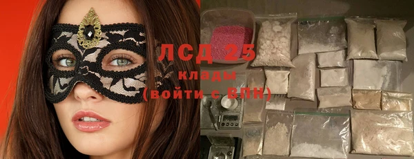 ГАЛЛЮЦИНОГЕННЫЕ ГРИБЫ Волосово